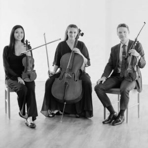 Lieder Strings live musician group photo